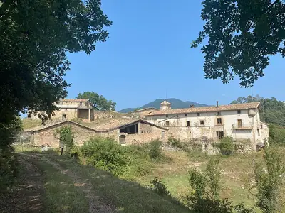 나무가 우거진 Serra de Llaés 언덕