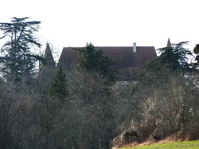 Château de Puyferrat의 지붕